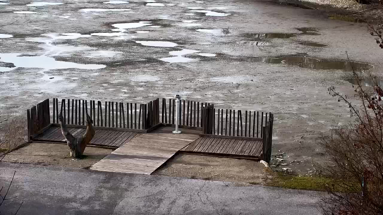 Webcam Ribnik Vrbje – Žalec