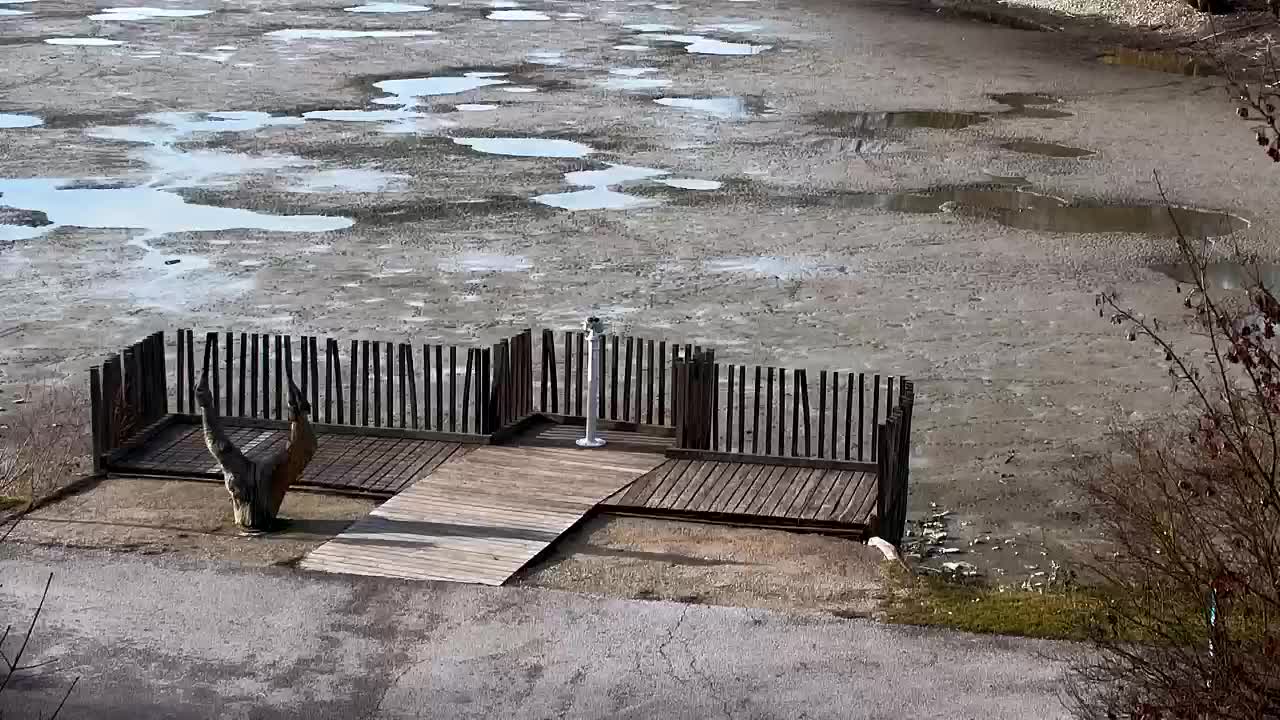 Webcam Ribnik Vrbje – Žalec