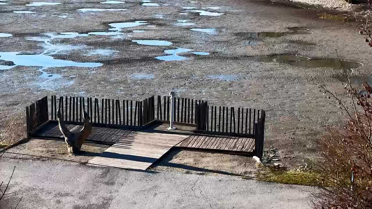 Spletna kamera Ribnik Vrbje – Žalec