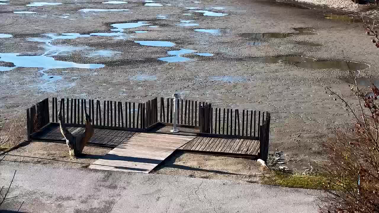 Spletna kamera Ribnik Vrbje – Žalec