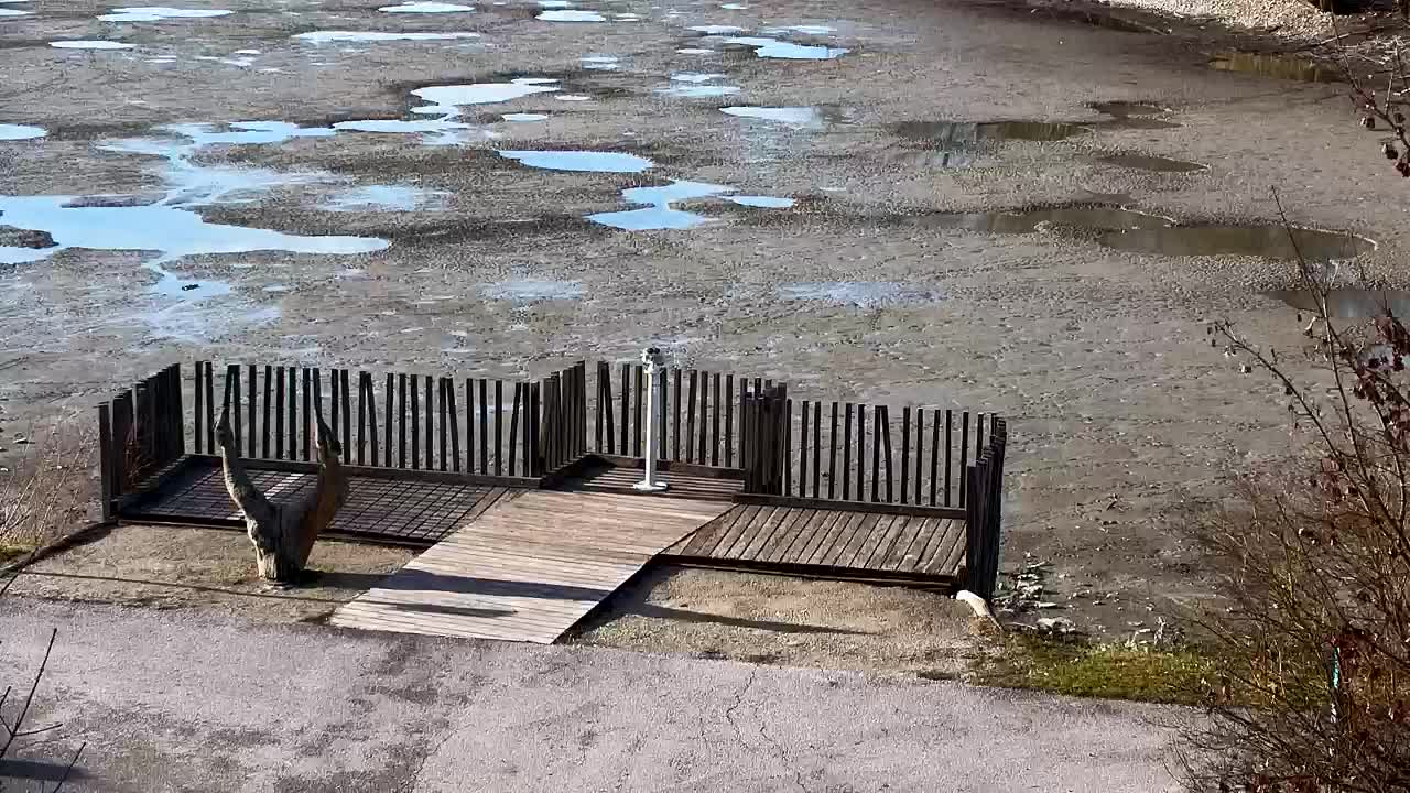 Webcam Ribnik Vrbje – Žalec