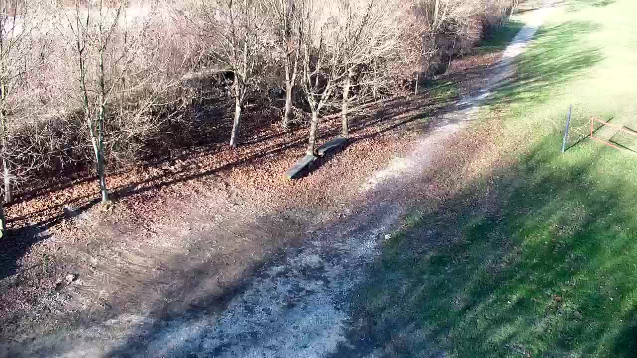 Webcam Ribnik Vrbje – Žalec