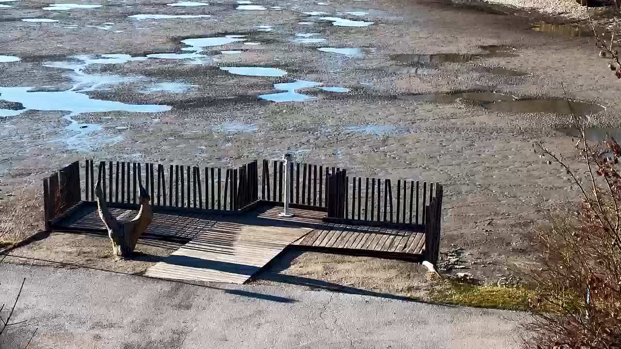 Webcam Ribnik Vrbje – Žalec