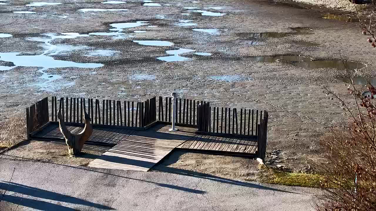 Webcam Ribnik Vrbje – Žalec