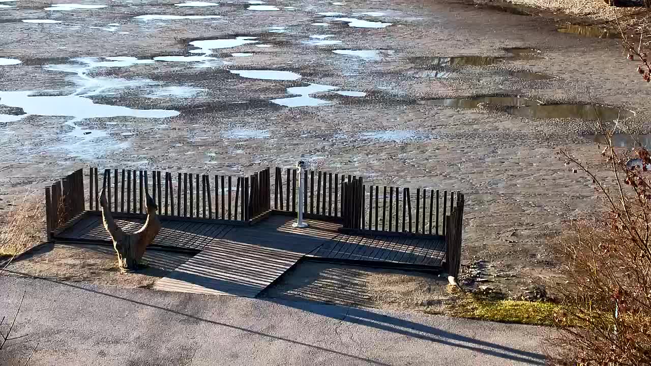 Webcam Ribnik Vrbje – Žalec