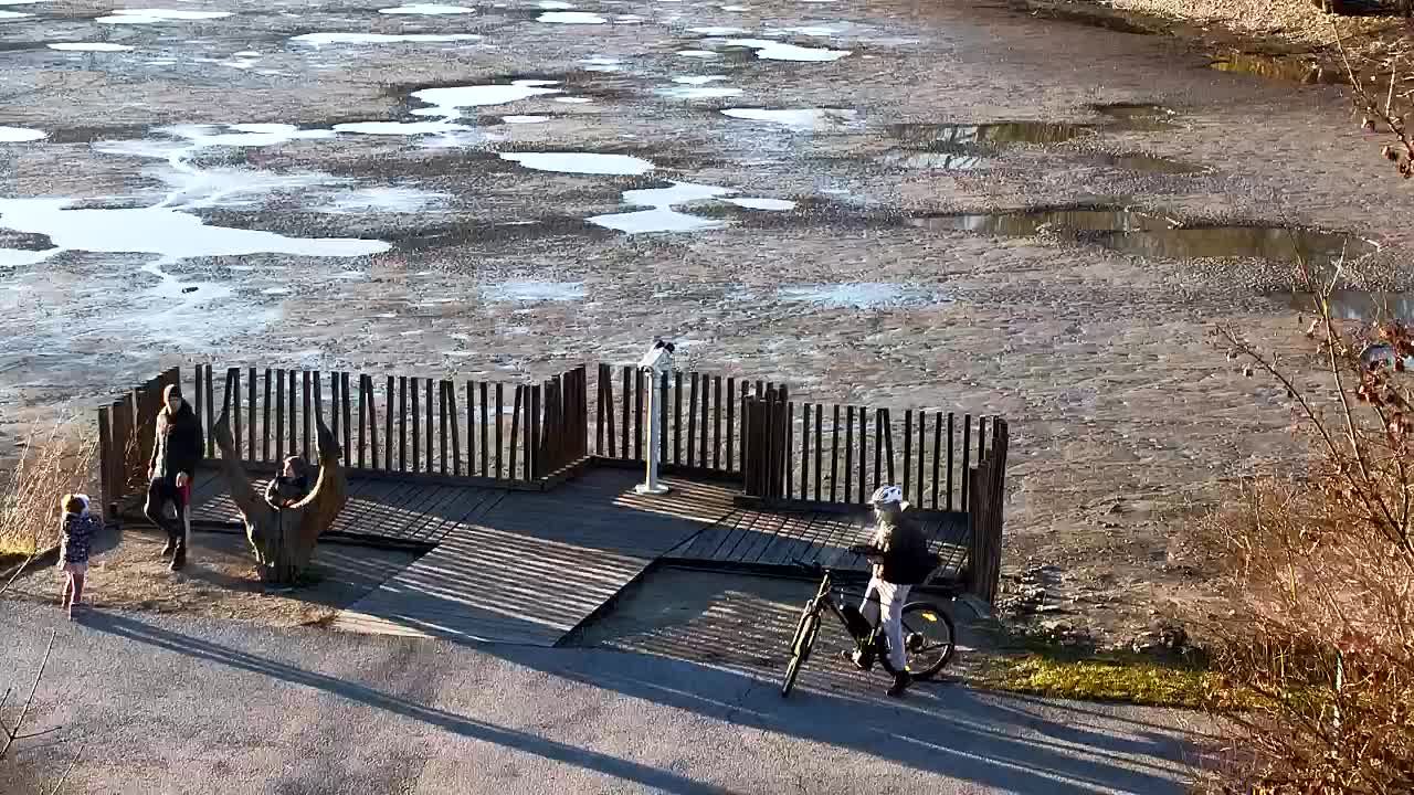 Spletna kamera Ribnik Vrbje – Žalec