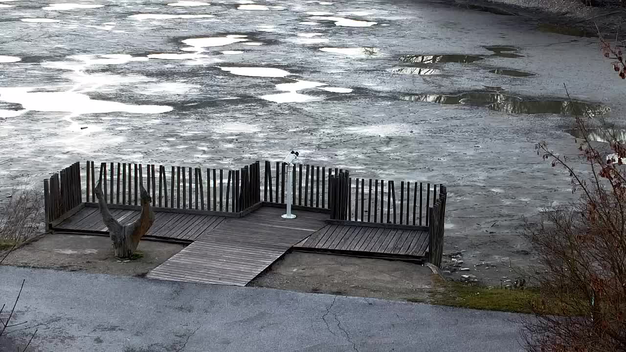 Webcam Ribnik Vrbje – Žalec