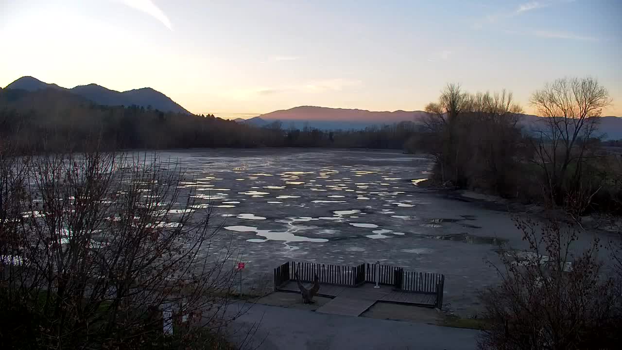 Webcam Ribnik Vrbje – Žalec