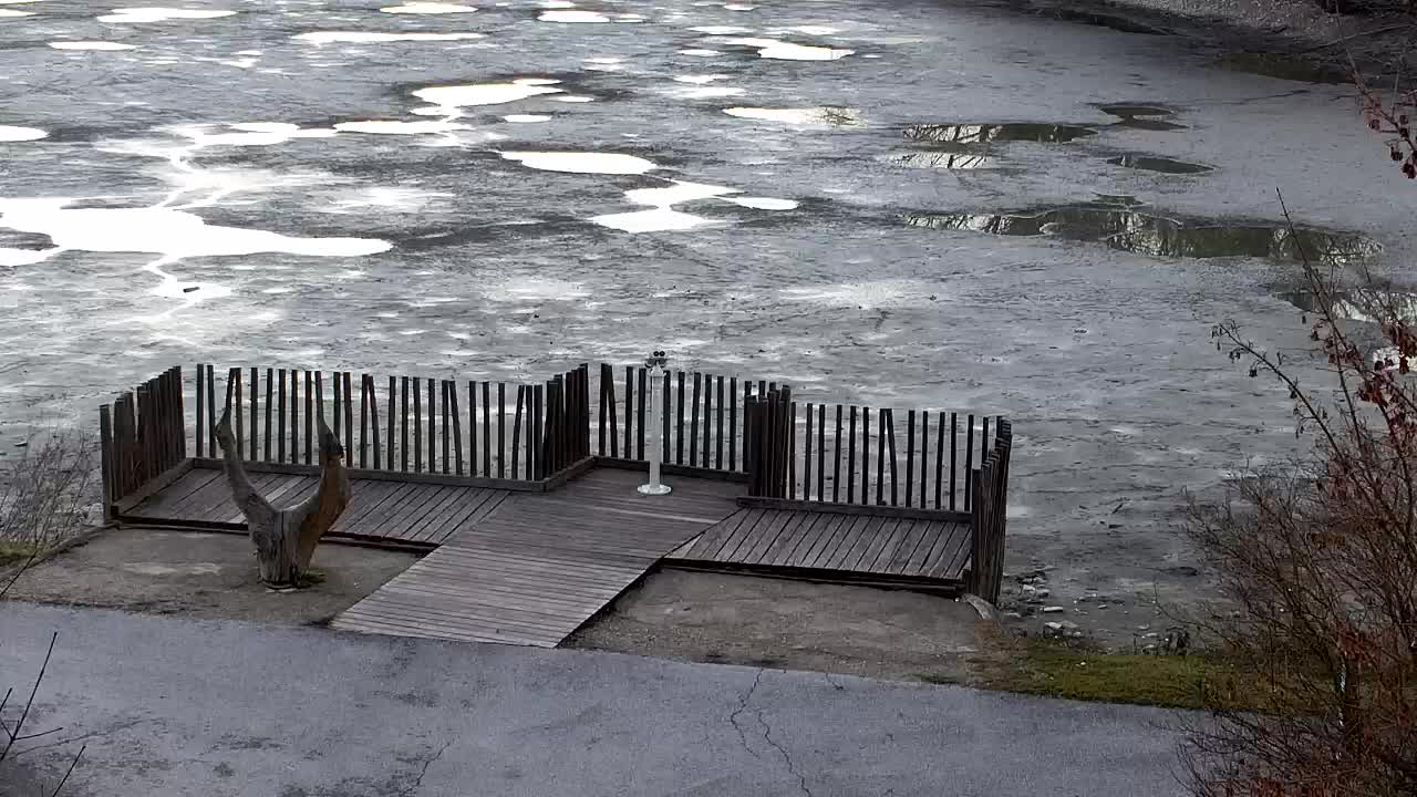 Webcam Ribnik Vrbje – Žalec