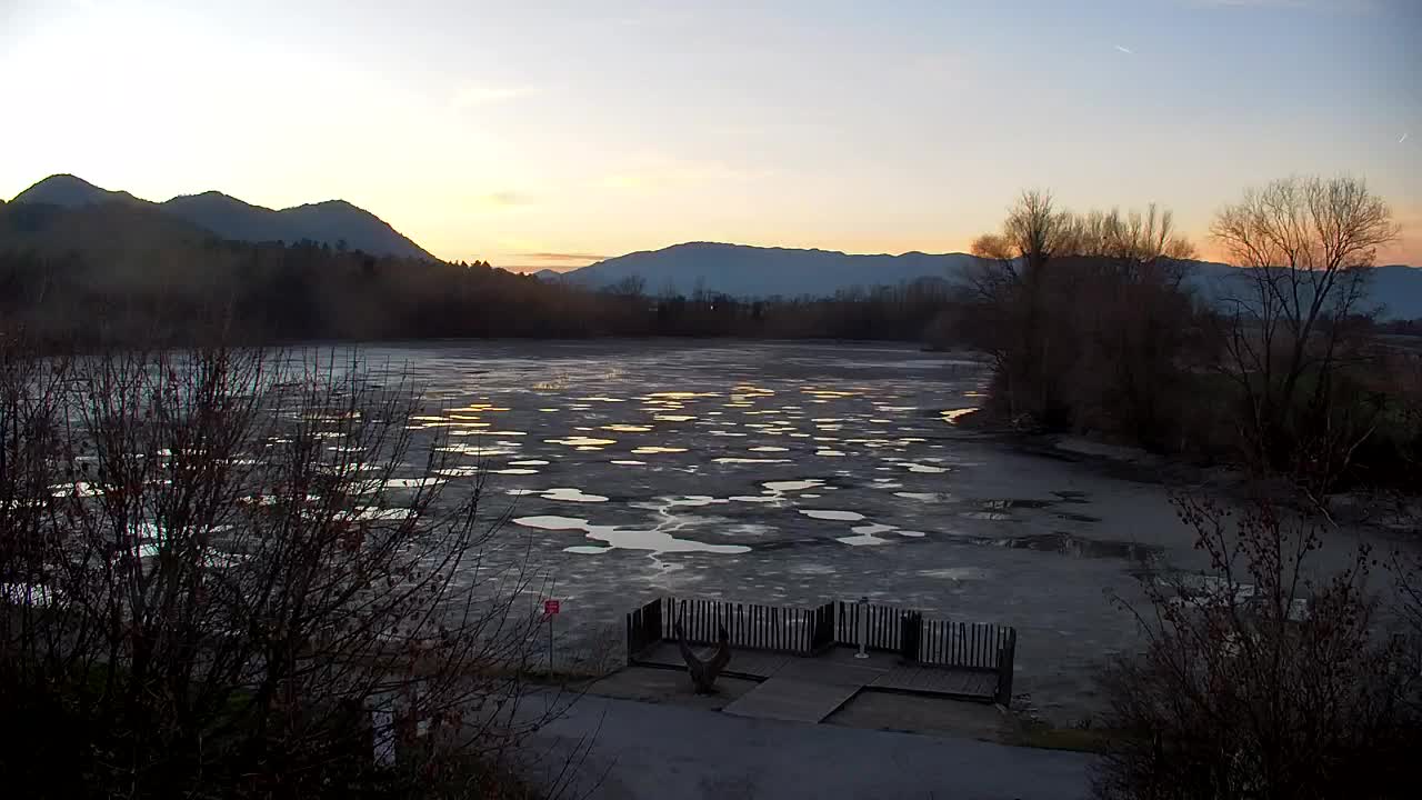 Spletna kamera Ribnik Vrbje – Žalec