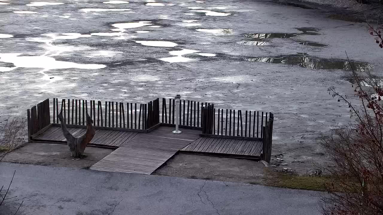 Webcam Ribnik Vrbje – Žalec