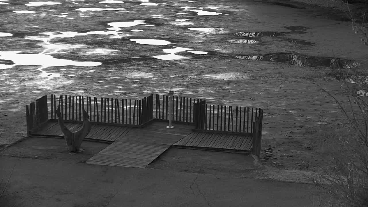 Web kamera Ribnik Vrbje – Žalec