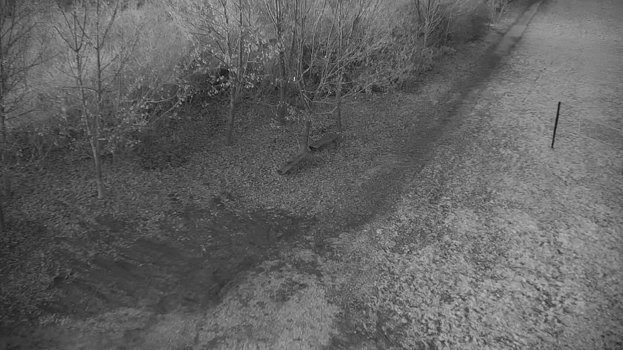 Webcam Ribnik Vrbje – Žalec