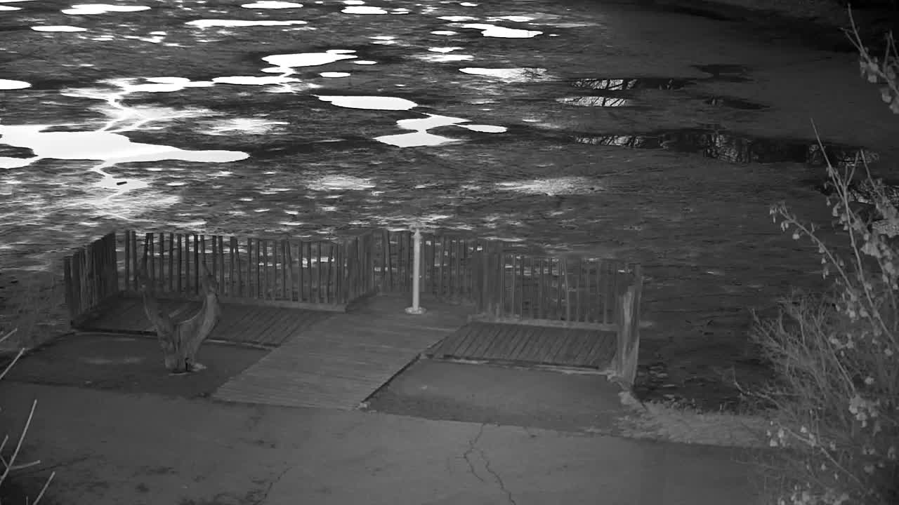 Webcam Ribnik Vrbje – Žalec