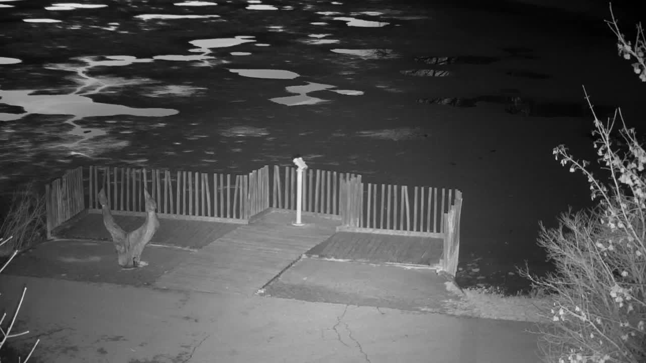 Spletna kamera Ribnik Vrbje – Žalec