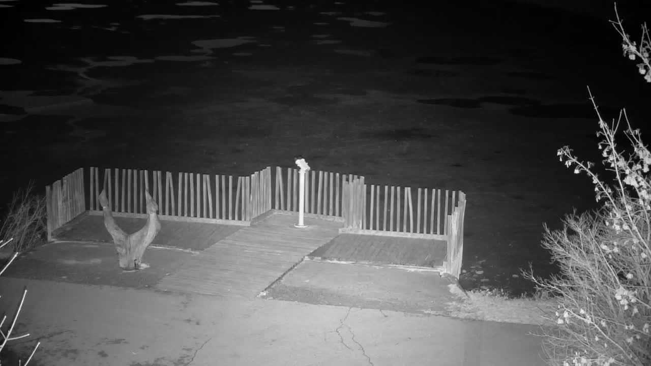 Webcam Ribnik Vrbje – Žalec