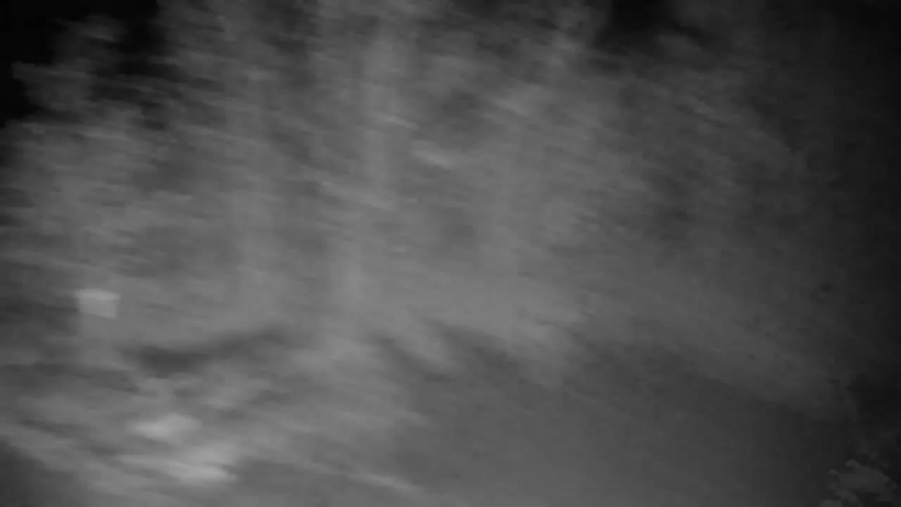 Web kamera Ribnik Vrbje – Žalec