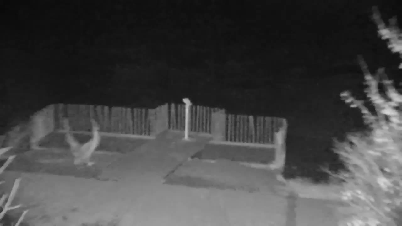 Webcam Ribnik Vrbje – Žalec