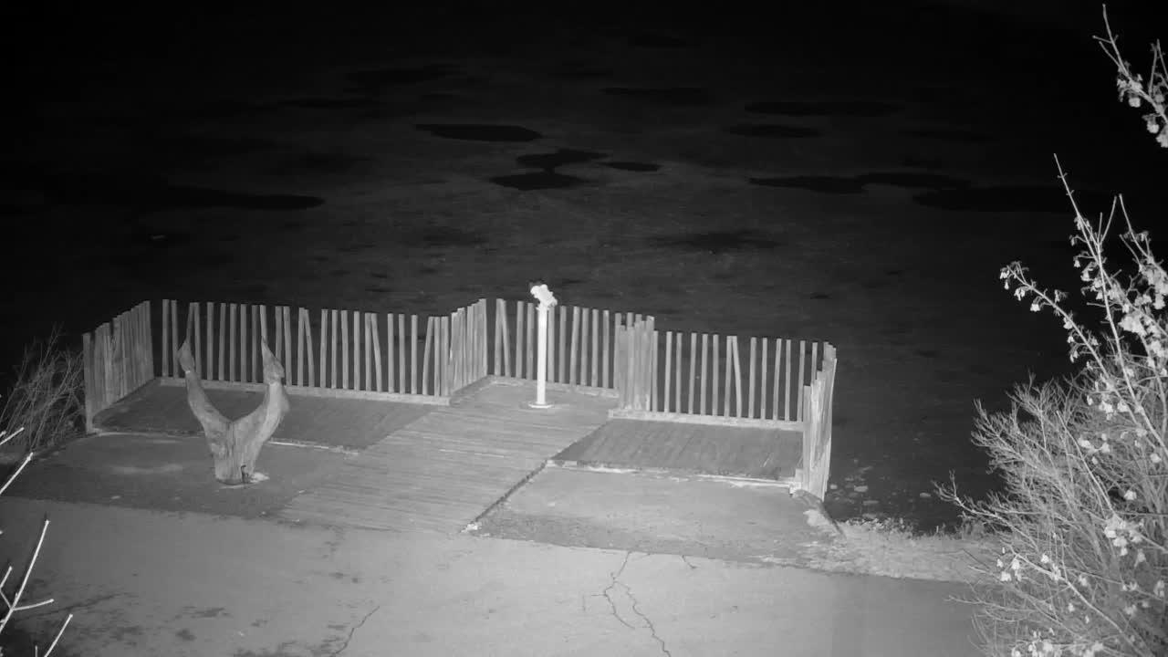 Webcam Ribnik Vrbje – Žalec