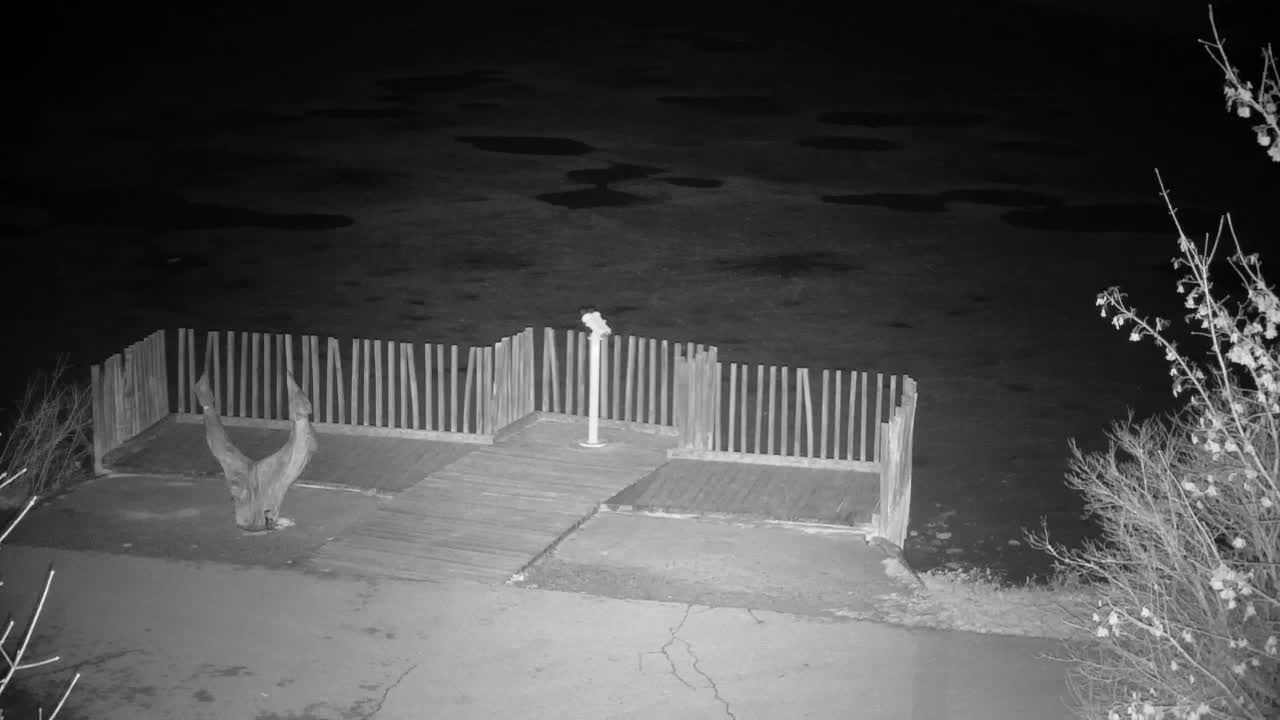 Webcam Ribnik Vrbje – Žalec