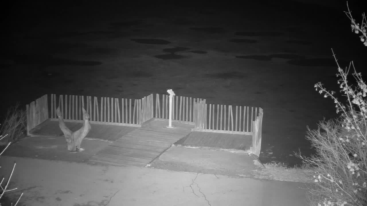 Webcam Ribnik Vrbje – Žalec