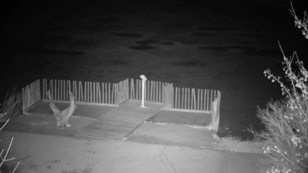 Webcam Ribnik Vrbje – Žalec