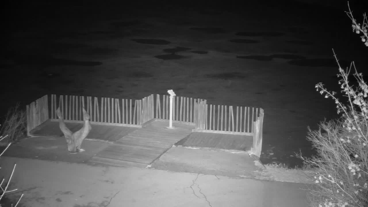 Webcam Ribnik Vrbje – Žalec