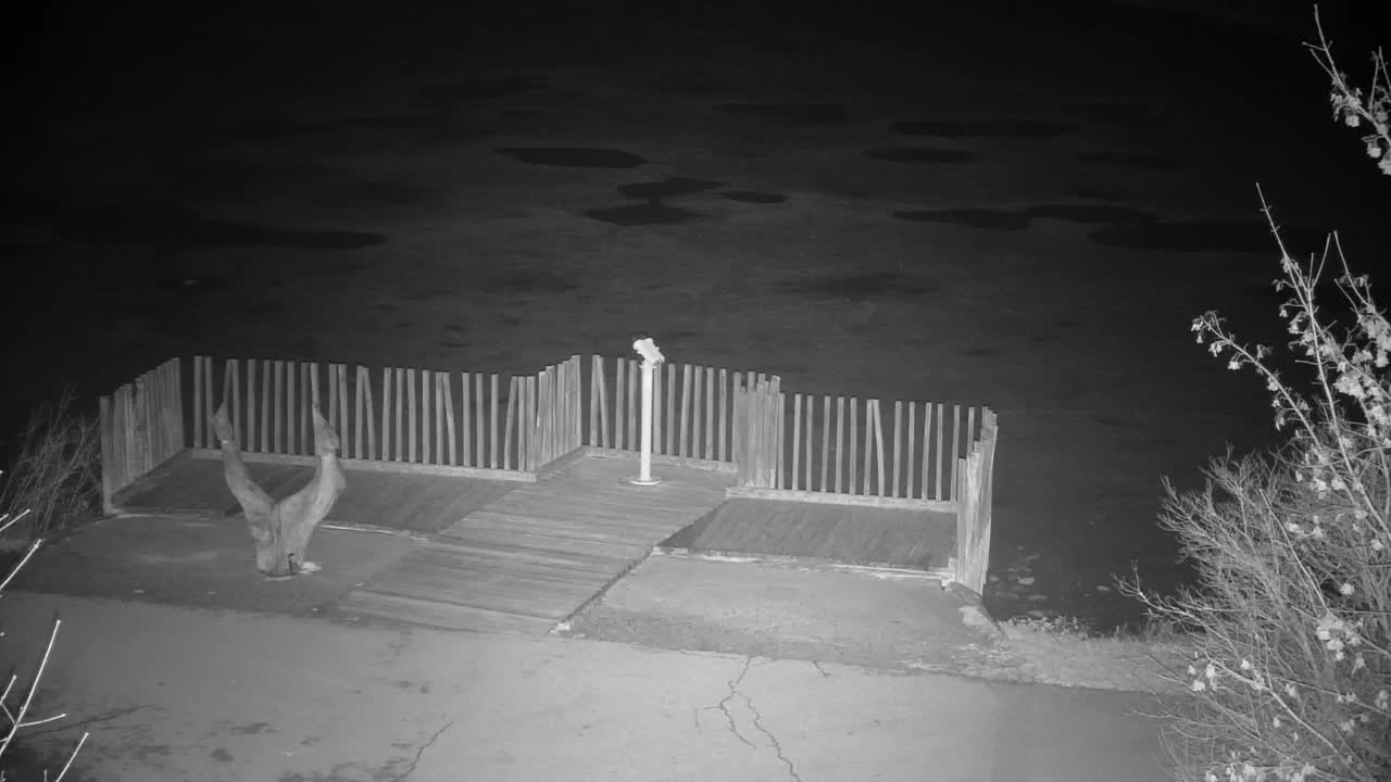 Webcam Ribnik Vrbje – Žalec