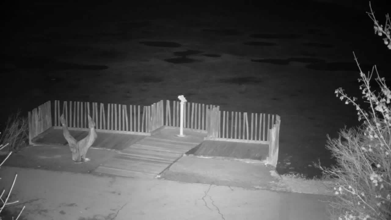 Webcam Ribnik Vrbje – Žalec