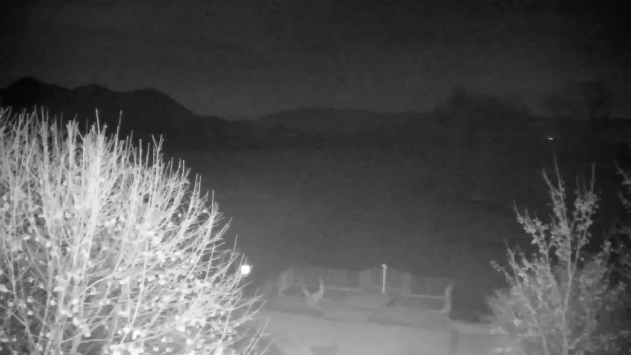 Webcam Ribnik Vrbje – Žalec