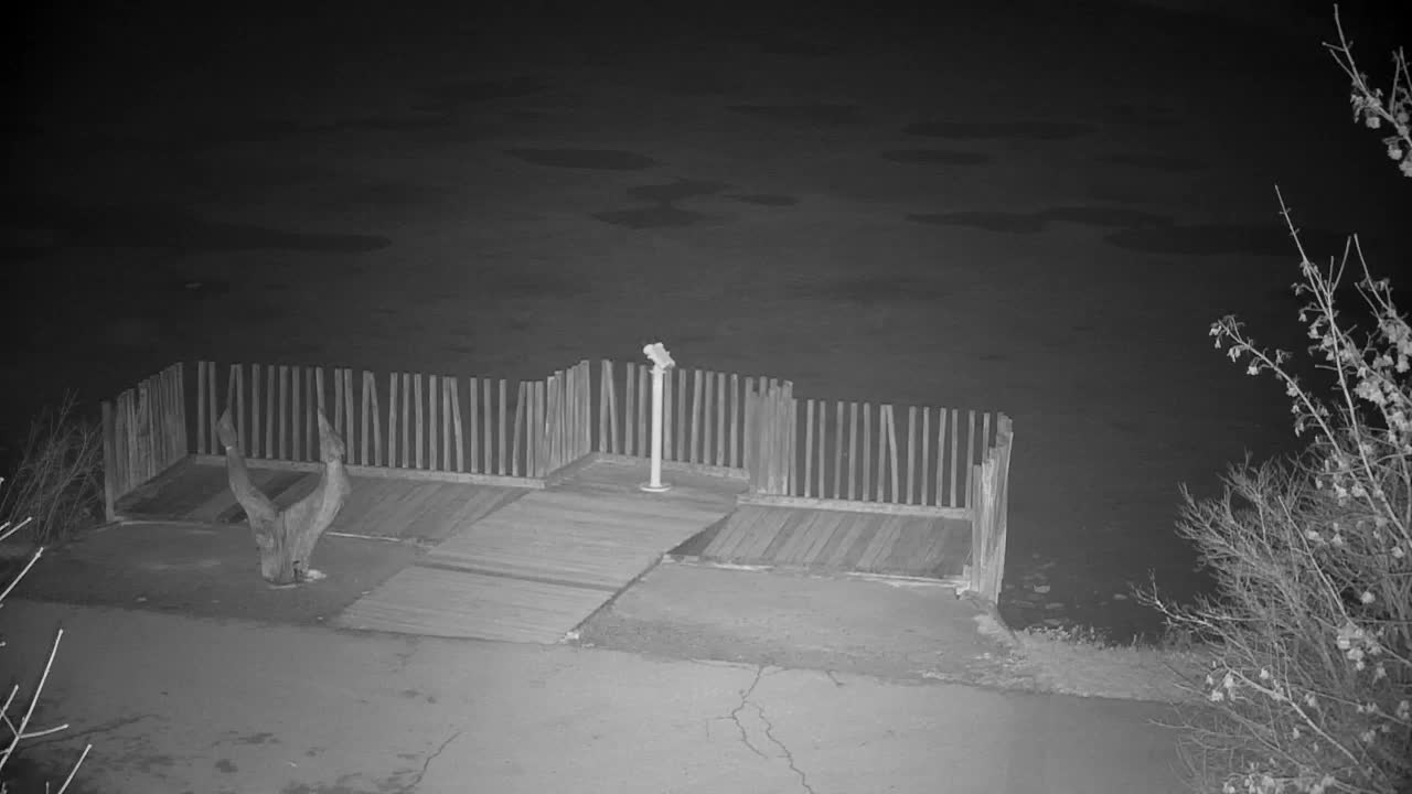 Webcam Ribnik Vrbje – Žalec