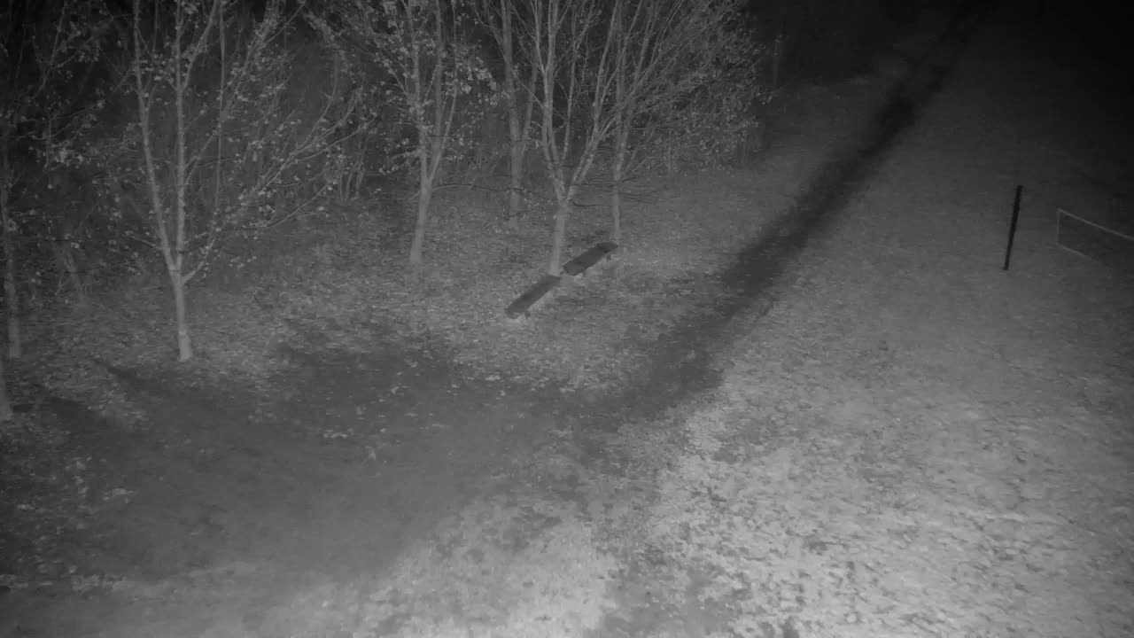 Webcam Ribnik Vrbje – Žalec