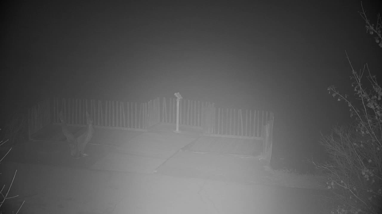 Spletna kamera Ribnik Vrbje – Žalec