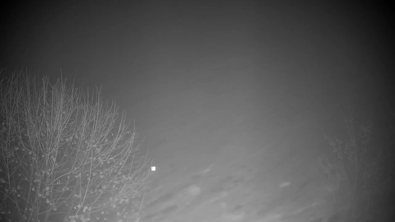 Webcam Ribnik Vrbje – Žalec