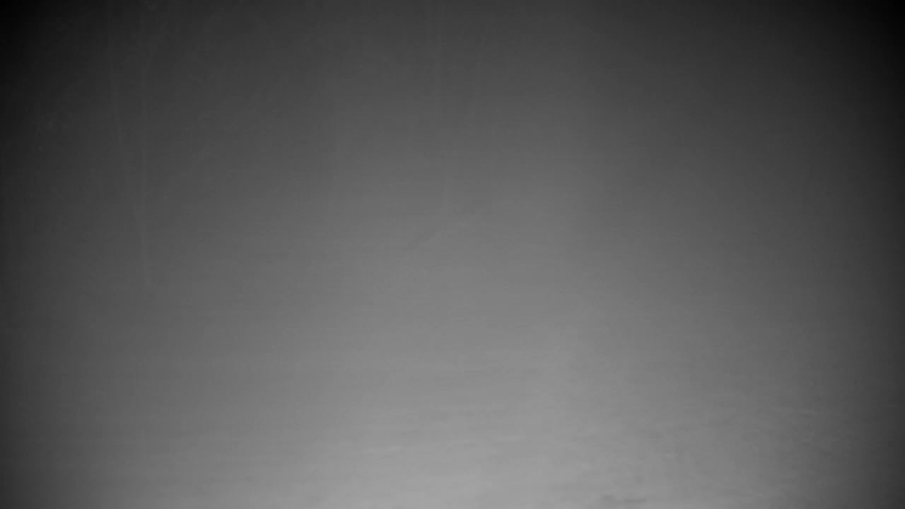 Webcam Ribnik Vrbje – Žalec