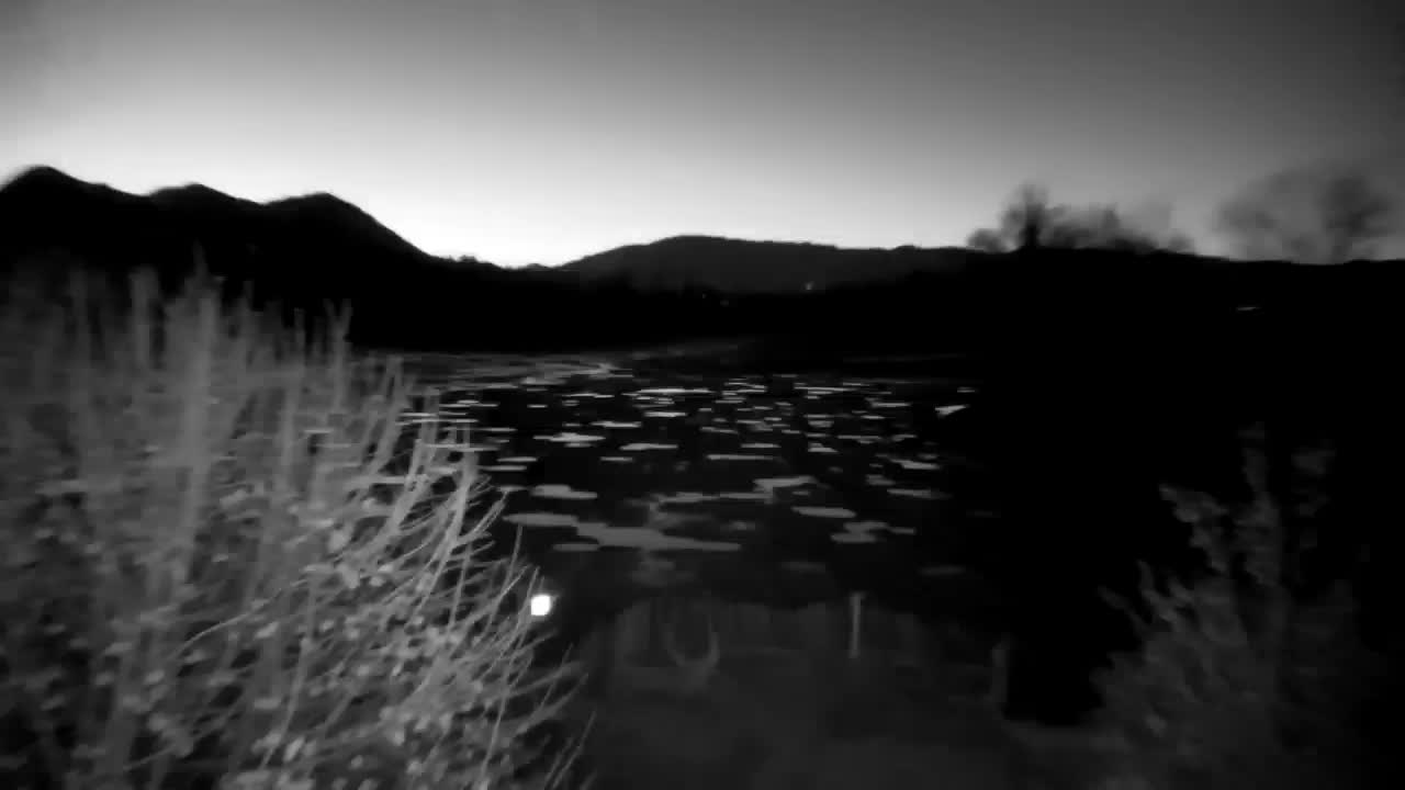 Webcam Ribnik Vrbje – Žalec