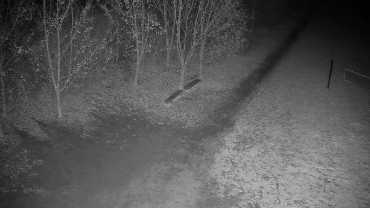 Webcam Ribnik Vrbje – Žalec