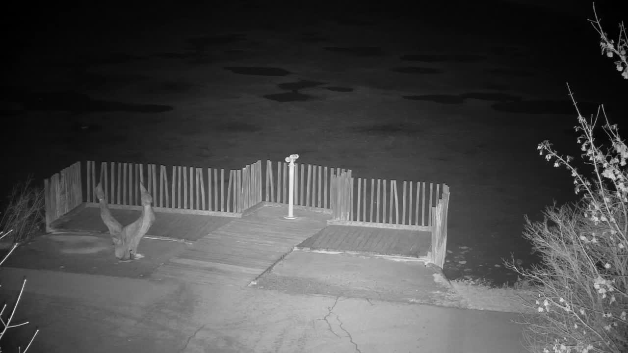 Webcam Ribnik Vrbje – Žalec