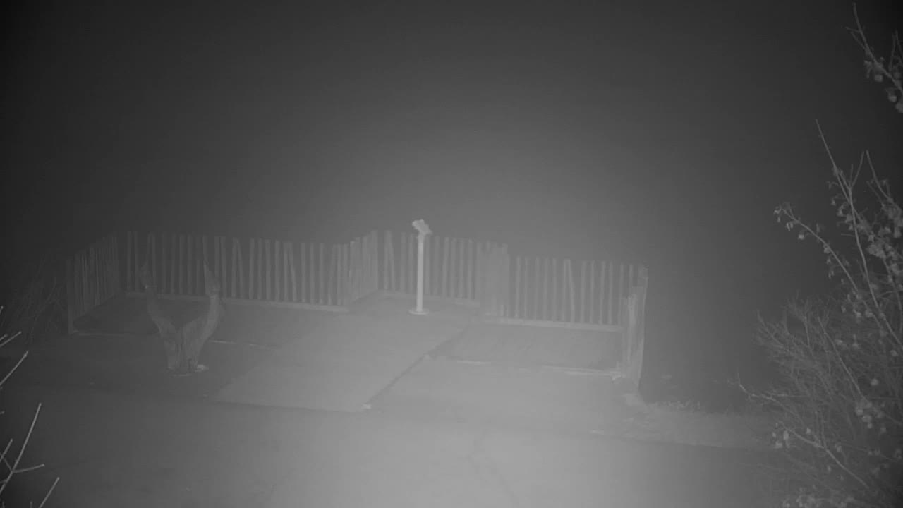 Webcam Ribnik Vrbje – Žalec