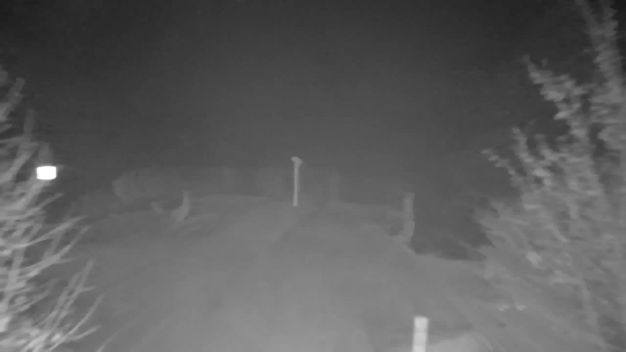 Webcam Ribnik Vrbje – Žalec