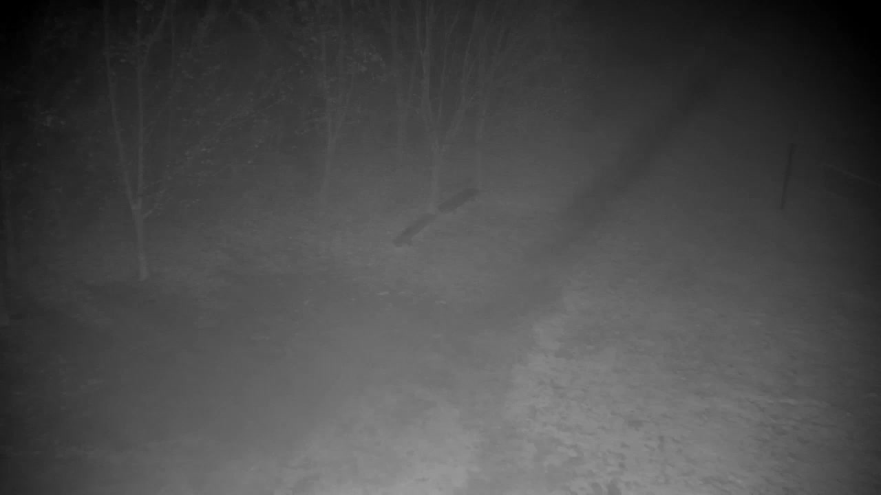 Web kamera Ribnik Vrbje – Žalec