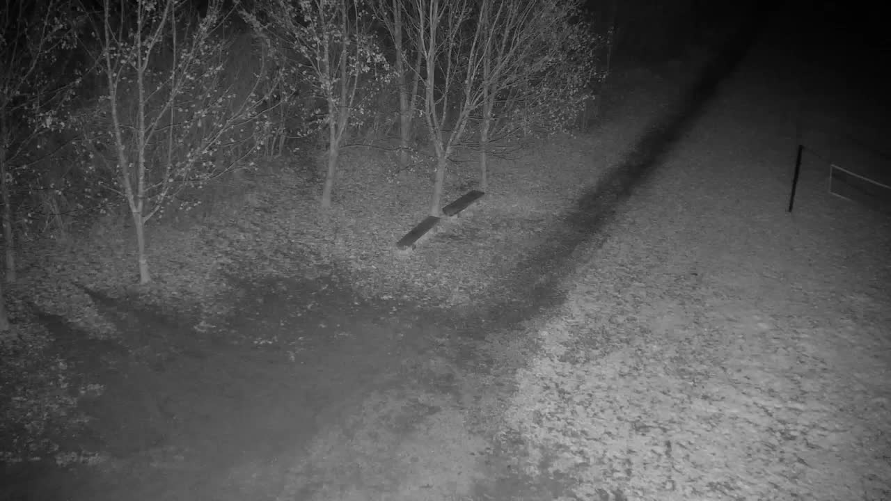 Webcam Ribnik Vrbje – Žalec