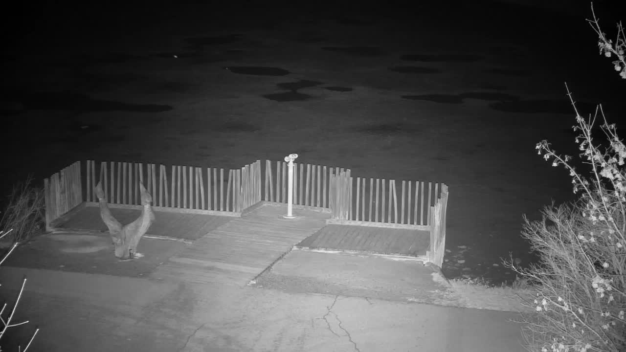 Web kamera Ribnik Vrbje – Žalec