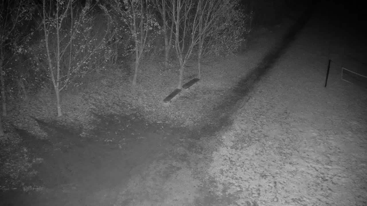 Webcam Ribnik Vrbje – Žalec