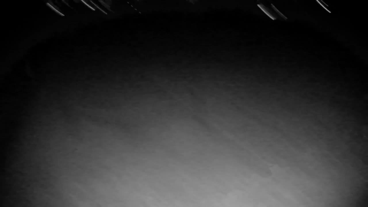 Webcam Ribnik Vrbje – Žalec