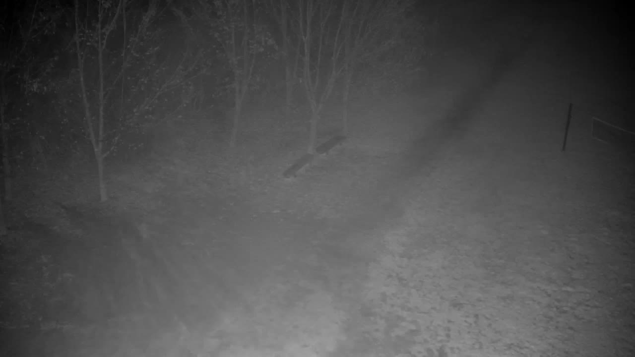 Webcam Ribnik Vrbje – Žalec