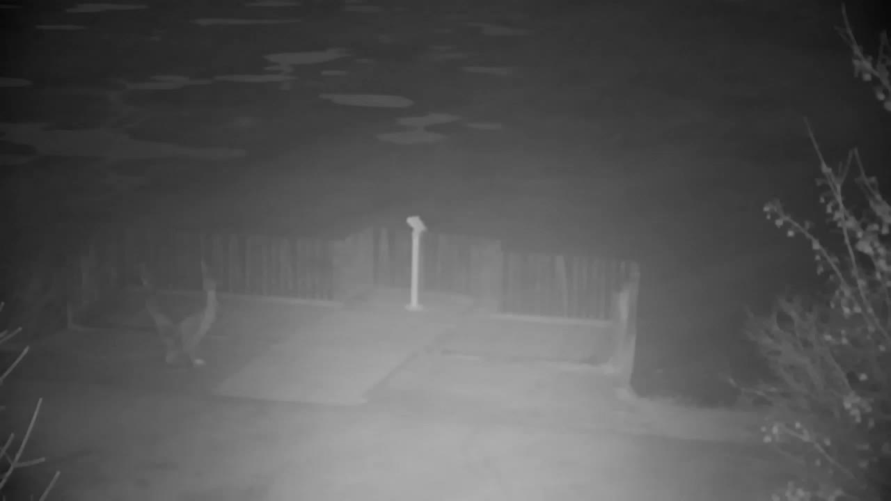 Webcam Ribnik Vrbje – Žalec