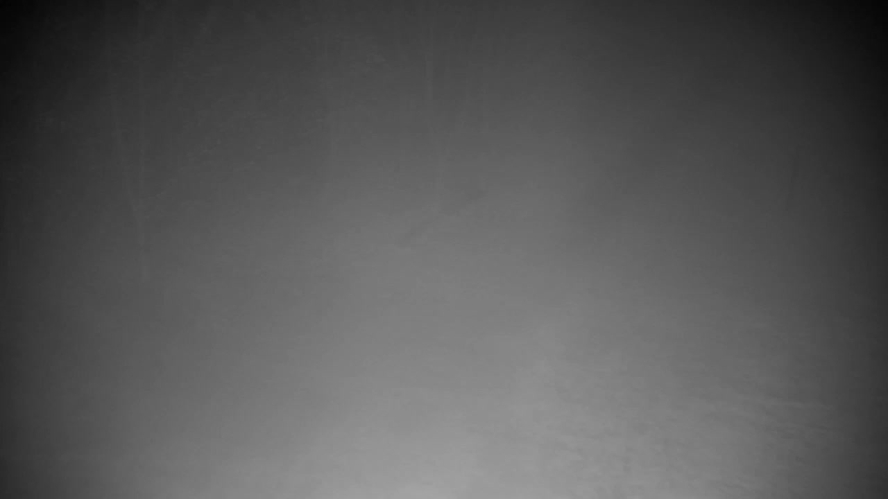 Web kamera Ribnik Vrbje – Žalec