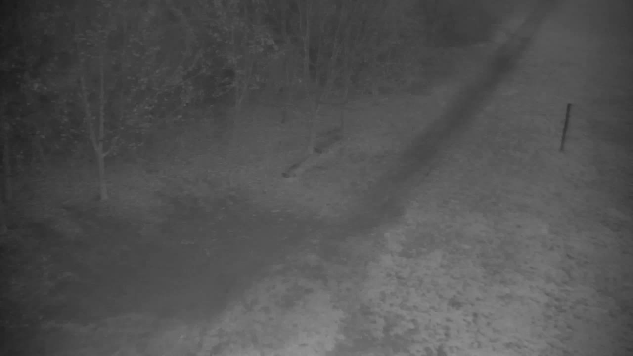 Webcam Ribnik Vrbje – Žalec