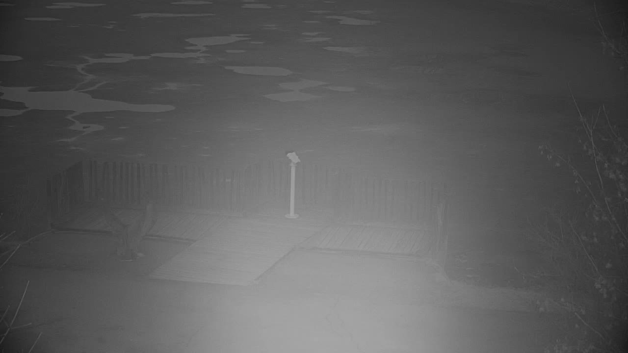 Webcam Ribnik Vrbje – Žalec